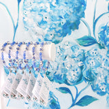 Hydrangea collection